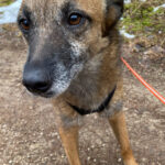 20260208-fotos-nisha-15