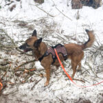 20260208-fotos-nisha-17