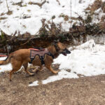 20260208-fotos-nisha-18