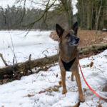 20260208-fotos-nisha-19