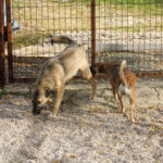 20251117-fotos-josephine-02