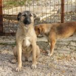 20251117-fotos-josephine-03