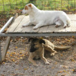 20251117-fotos-josephine-04