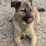 20251117-fotos-josephine-06