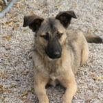 20251117-fotos-josephine-08