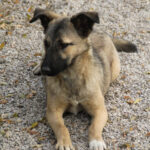 20251117-fotos-josephine-10