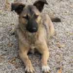 20251117-fotos-josephine-14