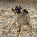 20251117-fotos-josephine-17