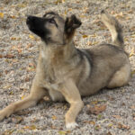 20251117-fotos-josephine-18