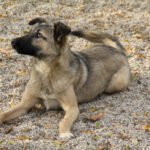 20251117-fotos-josephine-19