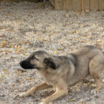 20251117-fotos-josephine-24