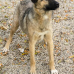 20251117-fotos-josephine-33