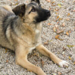 20251117-fotos-josephine-34