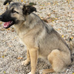 20251117-fotos-josephine-40