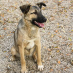 20251117-fotos-josephine-41