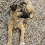 20251117-fotos-josephine-43