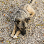 20251117-fotos-josephine-44