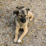 20251117-fotos-josephine-46