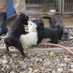 20251117-fotos-kasper-3