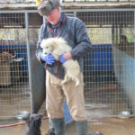 20251117-fotos-kasper-4