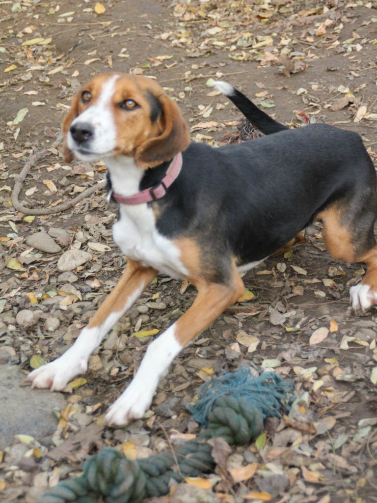 20251117-fotos-ofelia-01