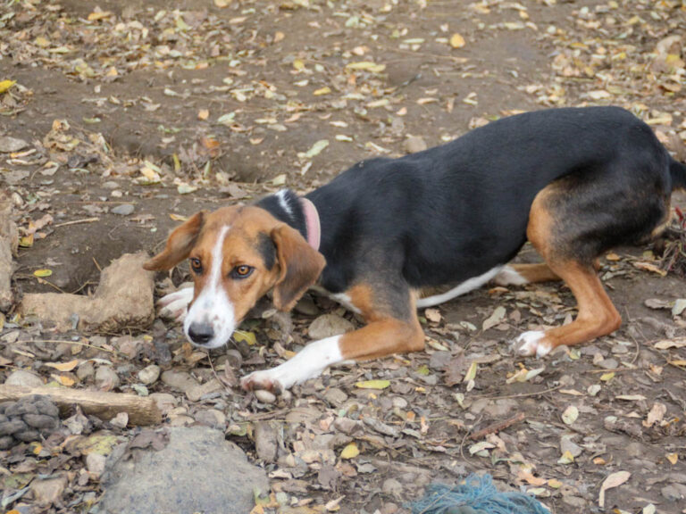 20251117-fotos-ofelia-02