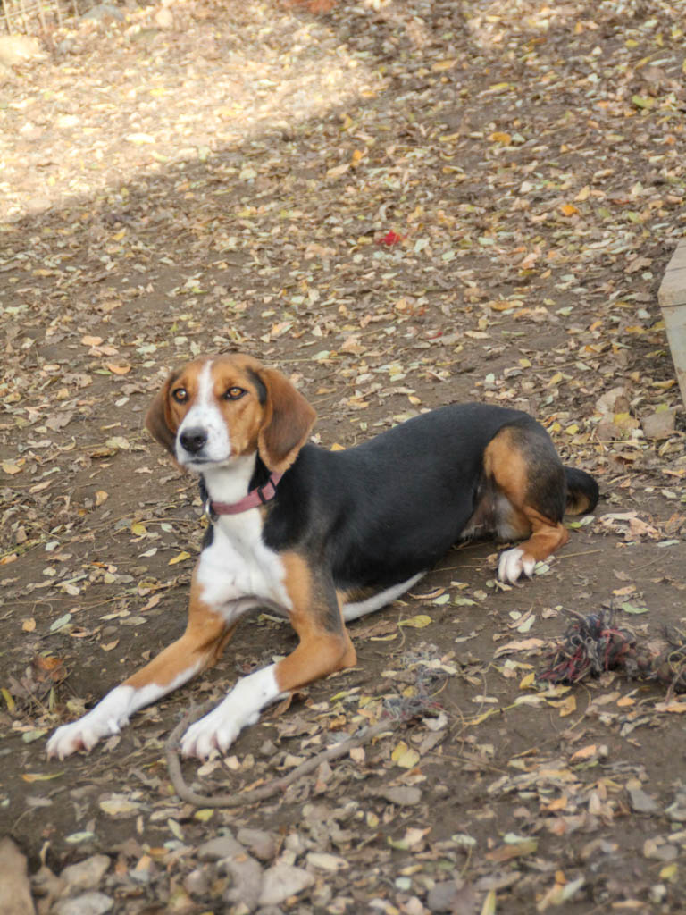 20251117-fotos-ofelia-04