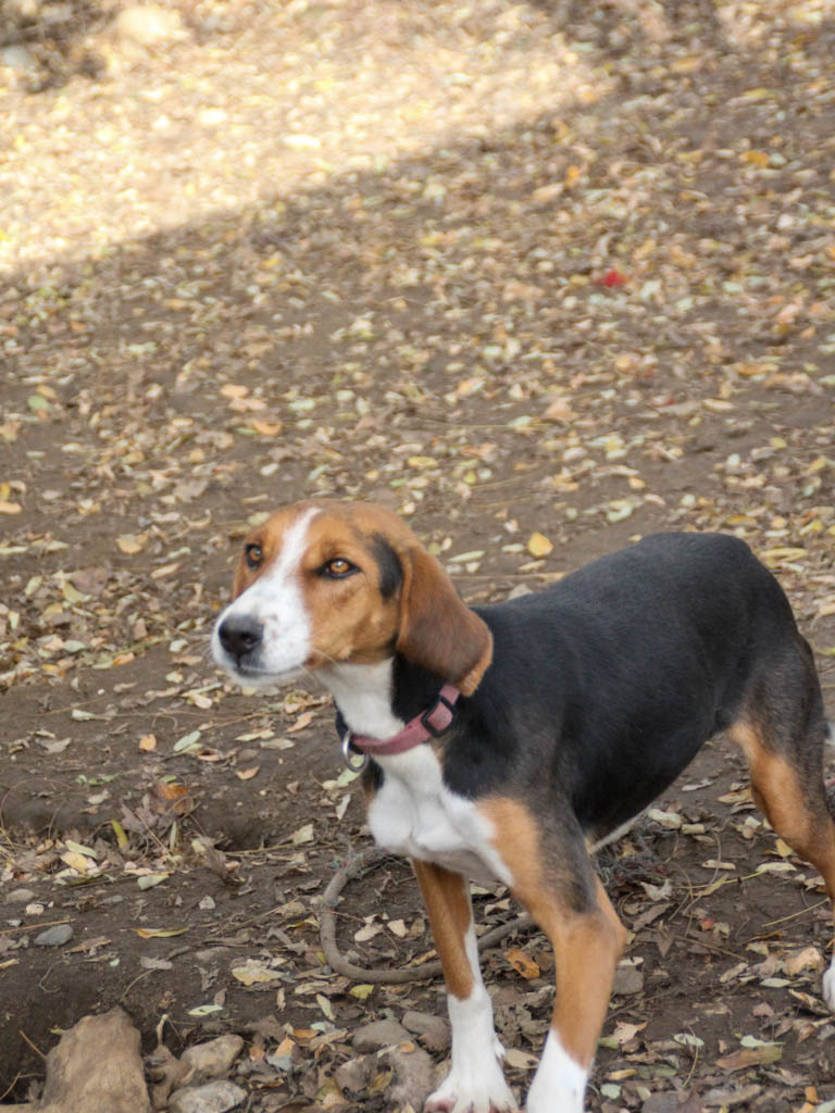 20251117-fotos-ofelia-05