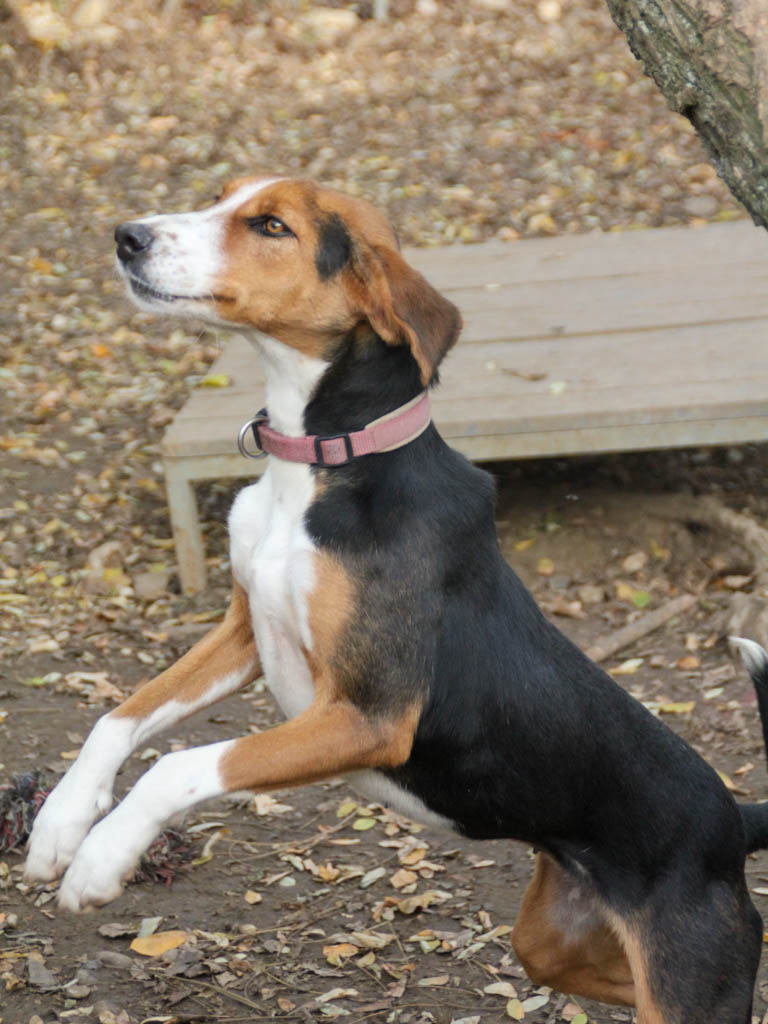 20251117-fotos-ofelia-06