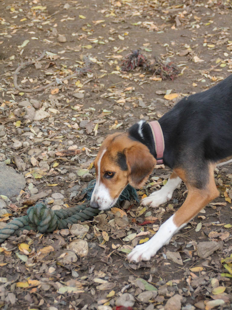 20251117-fotos-ofelia-08