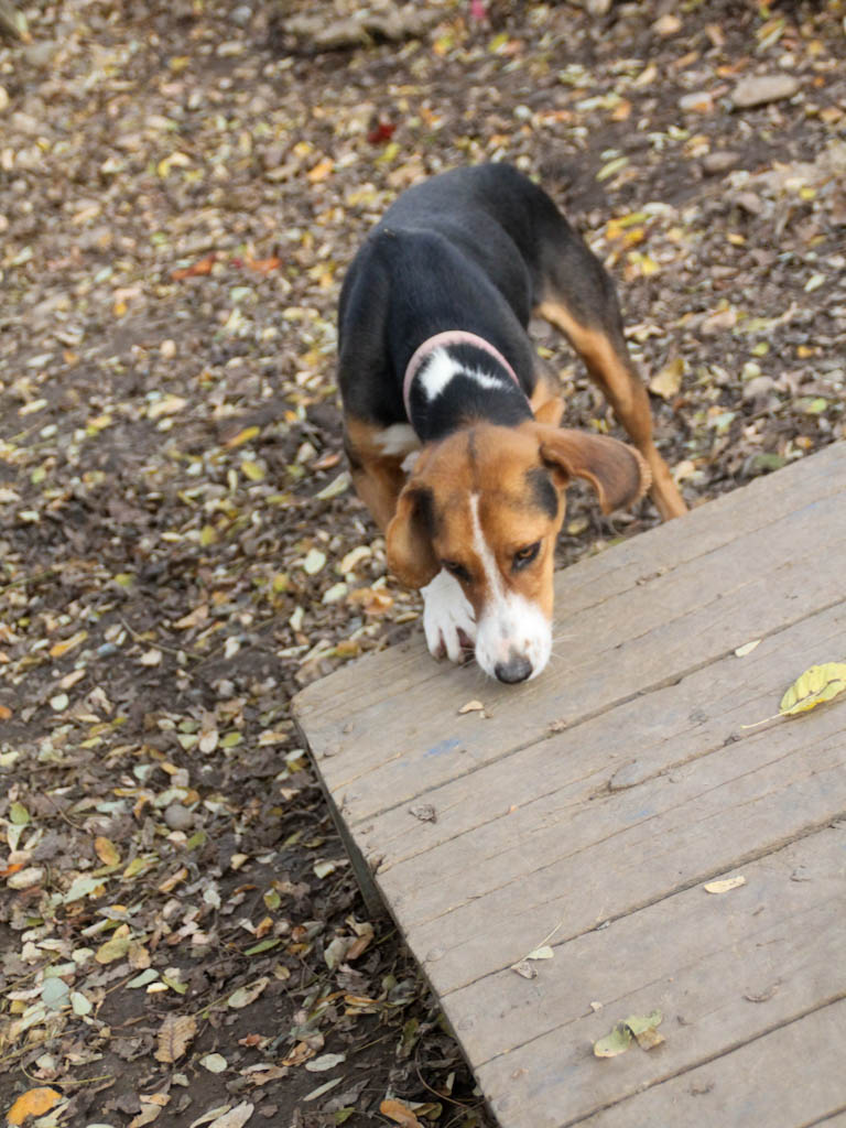 20251117-fotos-ofelia-11