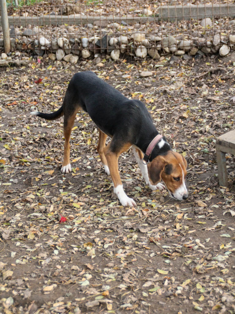 20251117-fotos-ofelia-12