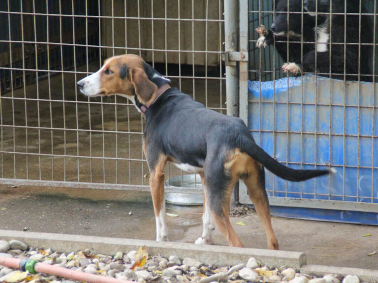 20251117-fotos-ofelia-14