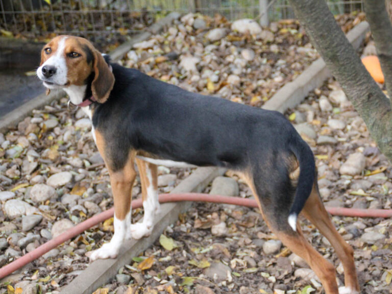 20251117-fotos-ofelia-18