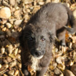 20251126-fotos-kalea-2