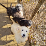 20251126-fotos-kalea-4