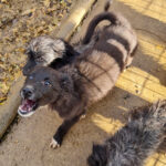 20251126-fotos-kalea-6