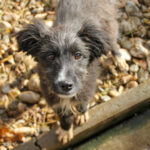 20251126-fotos-kalina-01