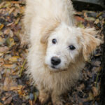 20251126-fotos-kasper-01