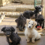 20251126-fotos-kasper-11