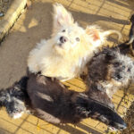 20251126-fotos-kasper-22