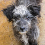 20251126-fotos-keanu-01