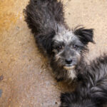 20251126-fotos-keanu-02