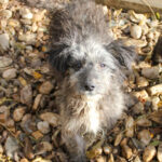 20251126-fotos-keanu-04