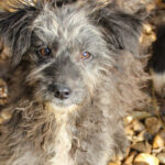 20251126-fotos-keanu-05