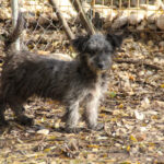 20251126-fotos-keanu-07