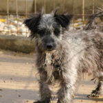 20251126-fotos-keanu-08