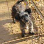 20251126-fotos-keanu-09