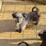 20251126-fotos-keanu-13