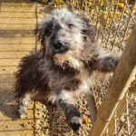 20251126-fotos-keanu-15